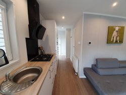 476427523_650089327369532_8823516113034955703_n