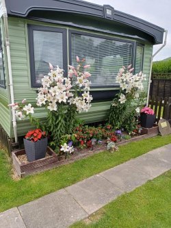 WhatsApp-Image-2026-02-13-at-19